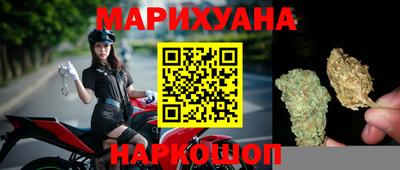 стаф Владимир