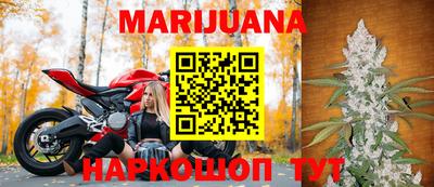 стаф Владимир