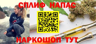 стаф Владимир