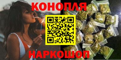 Альфа ПВП Владикавказ