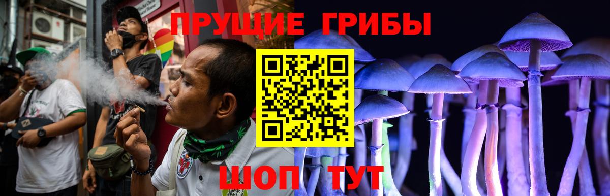 Псилоцибиновые грибы мухоморы Барнаул