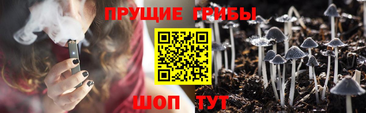 Барнаул  Галлюциногенные грибы GOLDEN TEACHER  Вход с VPN 